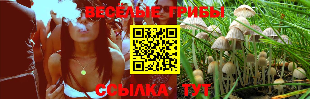 Галлюциногенные грибы мухоморы  Вход с VPN  Псилоцибиновые грибы мухоморы  Большой Камень 